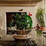 Muse 4* Marbella