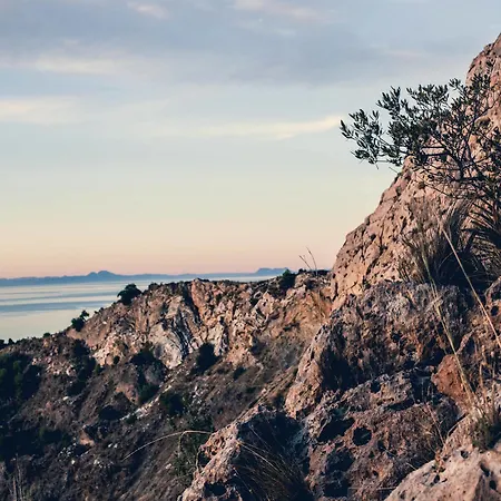 Konukevi Muse Marbella