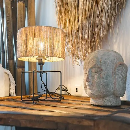 Muse Guest house